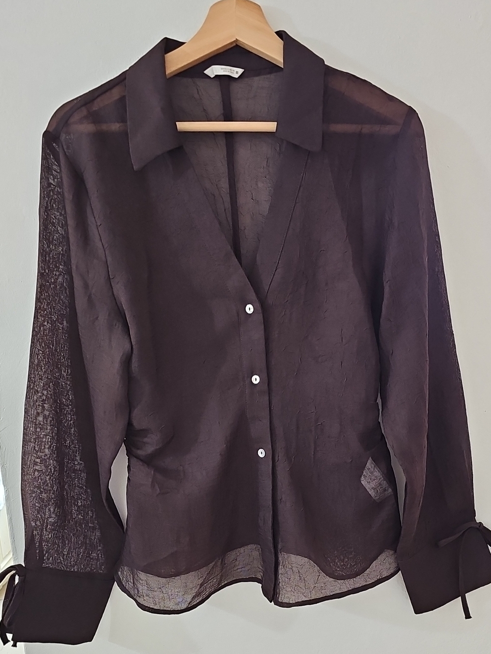 Zara Sheer Button-Front Blouse in Dark Brown